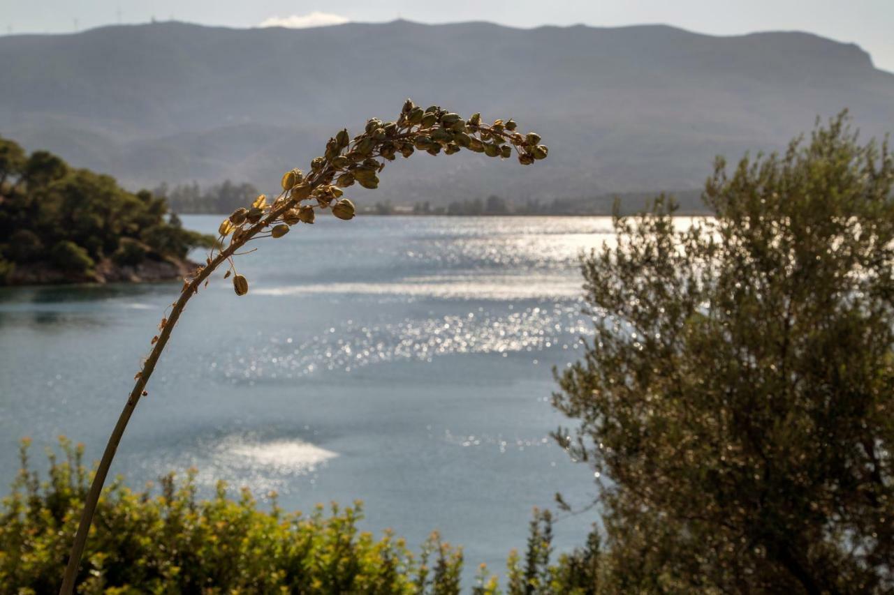 Kalavria Luxury Suites - Magnificent Sea View Of Poros Pórosz Kültér fotó